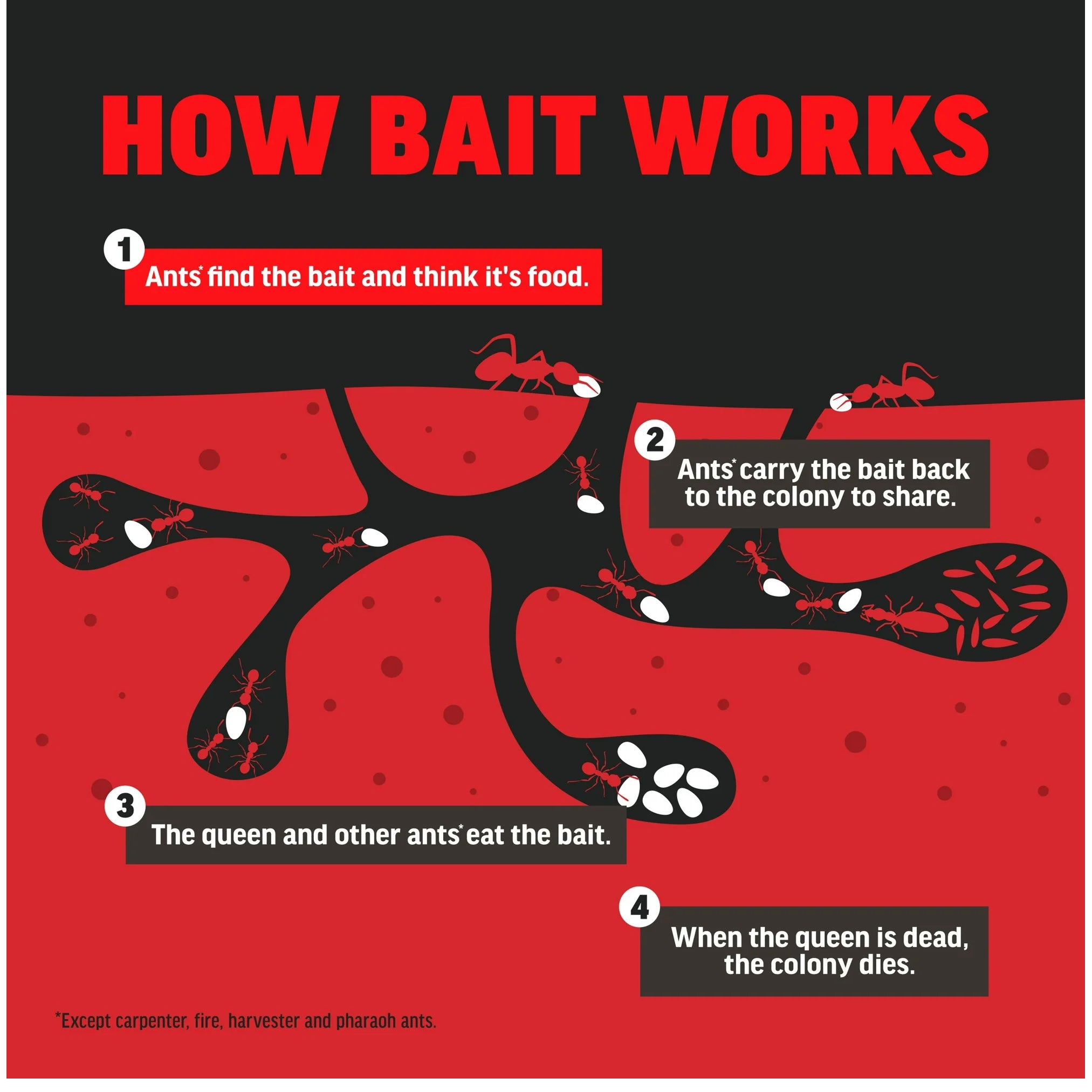 Amdro Ant Killing Bait Indoor & Outdoor Stakes 8pk - Packaging may vary!