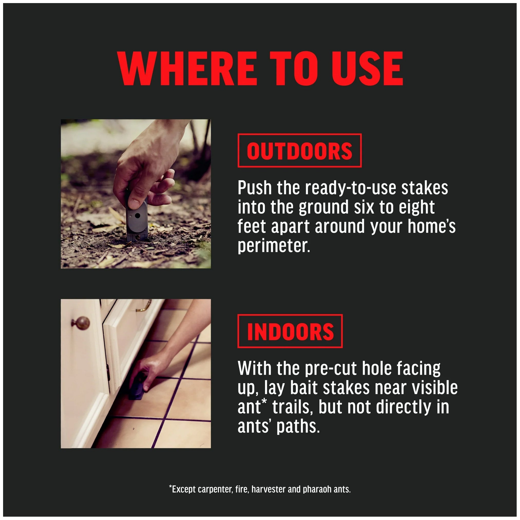 Amdro Ant Killing Bait Indoor & Outdoor Stakes 8pk - Packaging may vary!